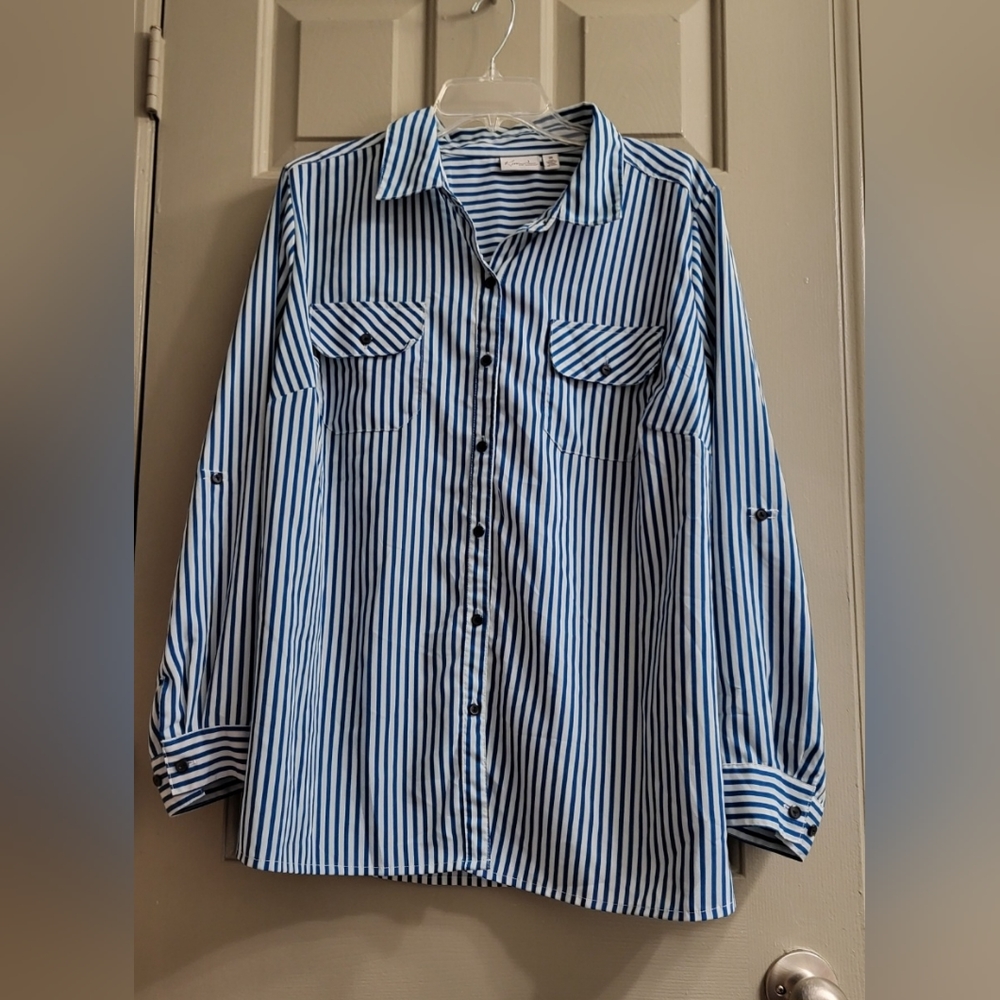Kim Rogers Woman long sleeve button down blouse 2X